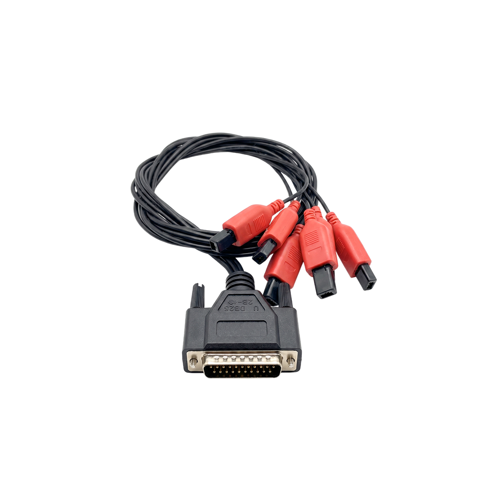 CABLE DE CONEXIÓN PULSO 1 (KIT 06 UNID)